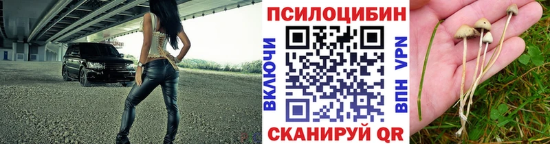 Галлюциногенные грибы GOLDEN TEACHER  Сорск 